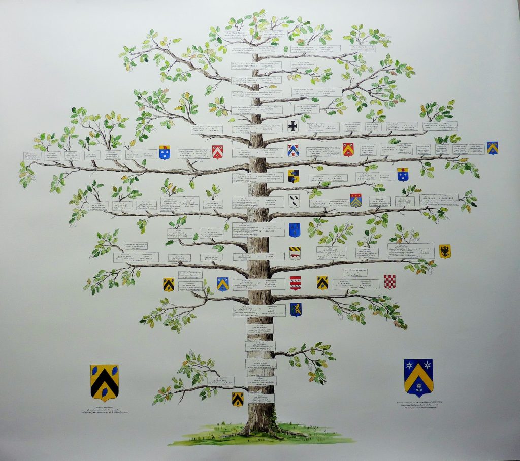 arbre genealogique artistique chantal szymonik chantal geyer peintre arbre généalogique realisation arbre genealogique chene aquarelle encre de chine dessin arbre