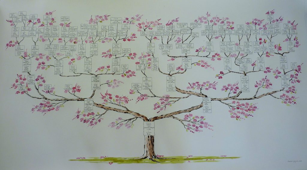 arbre généalogique descendant cadeau de noel cadeau personne agée chantal szymoniak arbre généalogique dessiné cerisier japonais arbre rose généalogiste peinture arbre généalogique